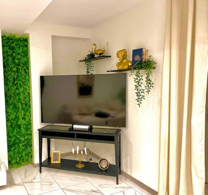 Toulouse Vaste Appartement Tres Lumineux Экстерьер фото